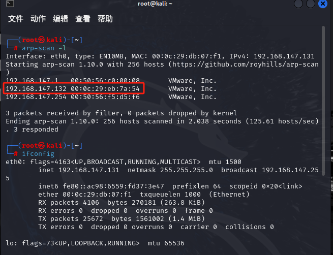 image-20250204231917385