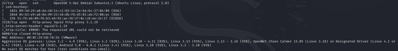 image-20250204232422134