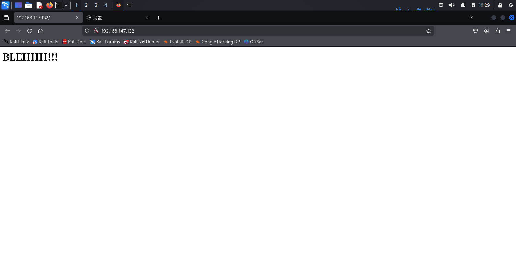 image-20250204233001891