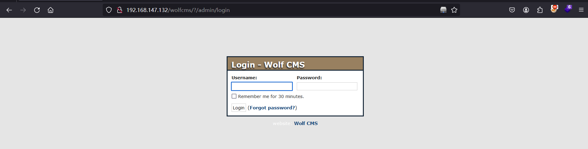 image-20250204235358991