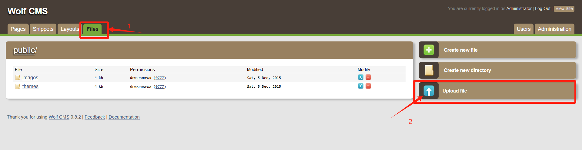 image-20250205000607279