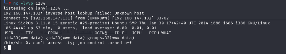 image-20250205001629391