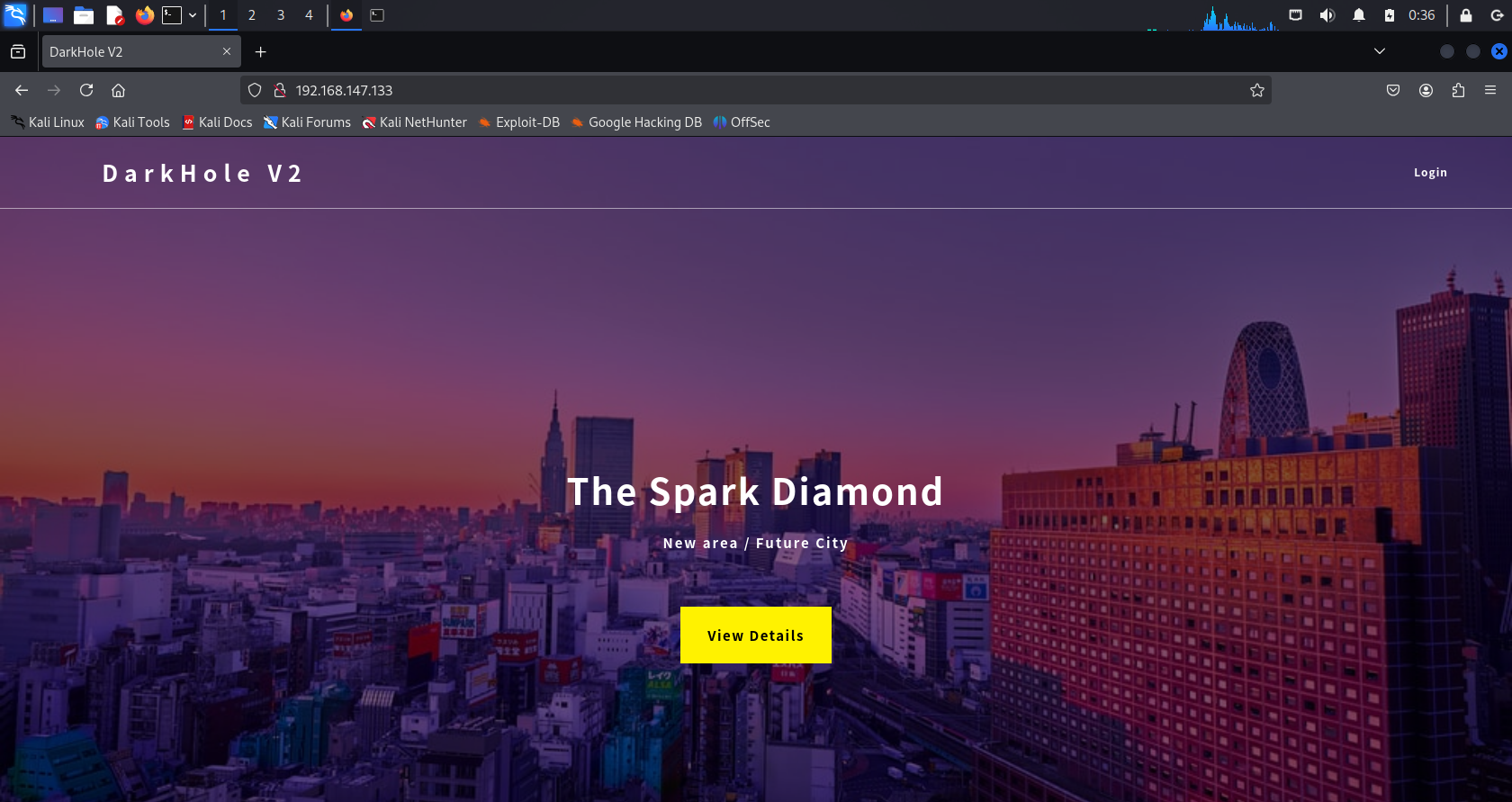 image-20250205133654452