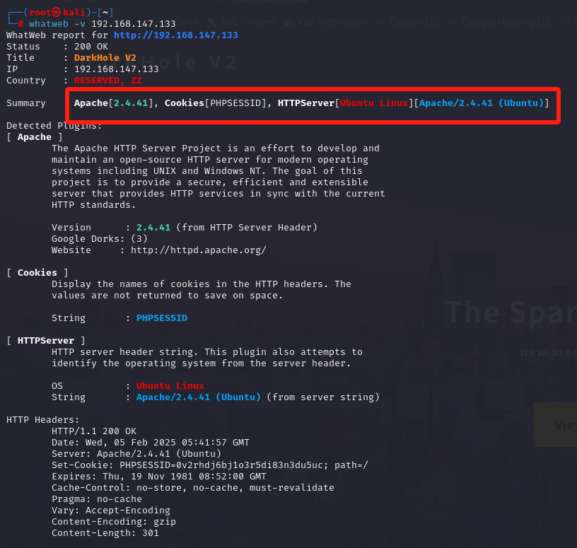 image-20250205134238309