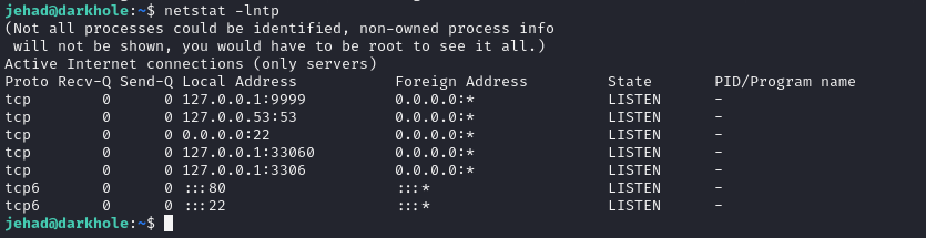 image-20250205144446984