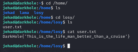 image-20250205144842480